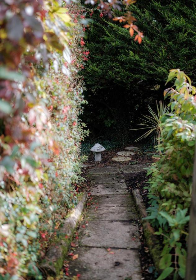 The Cottage @ Burkedale House Corofin  Esterno foto