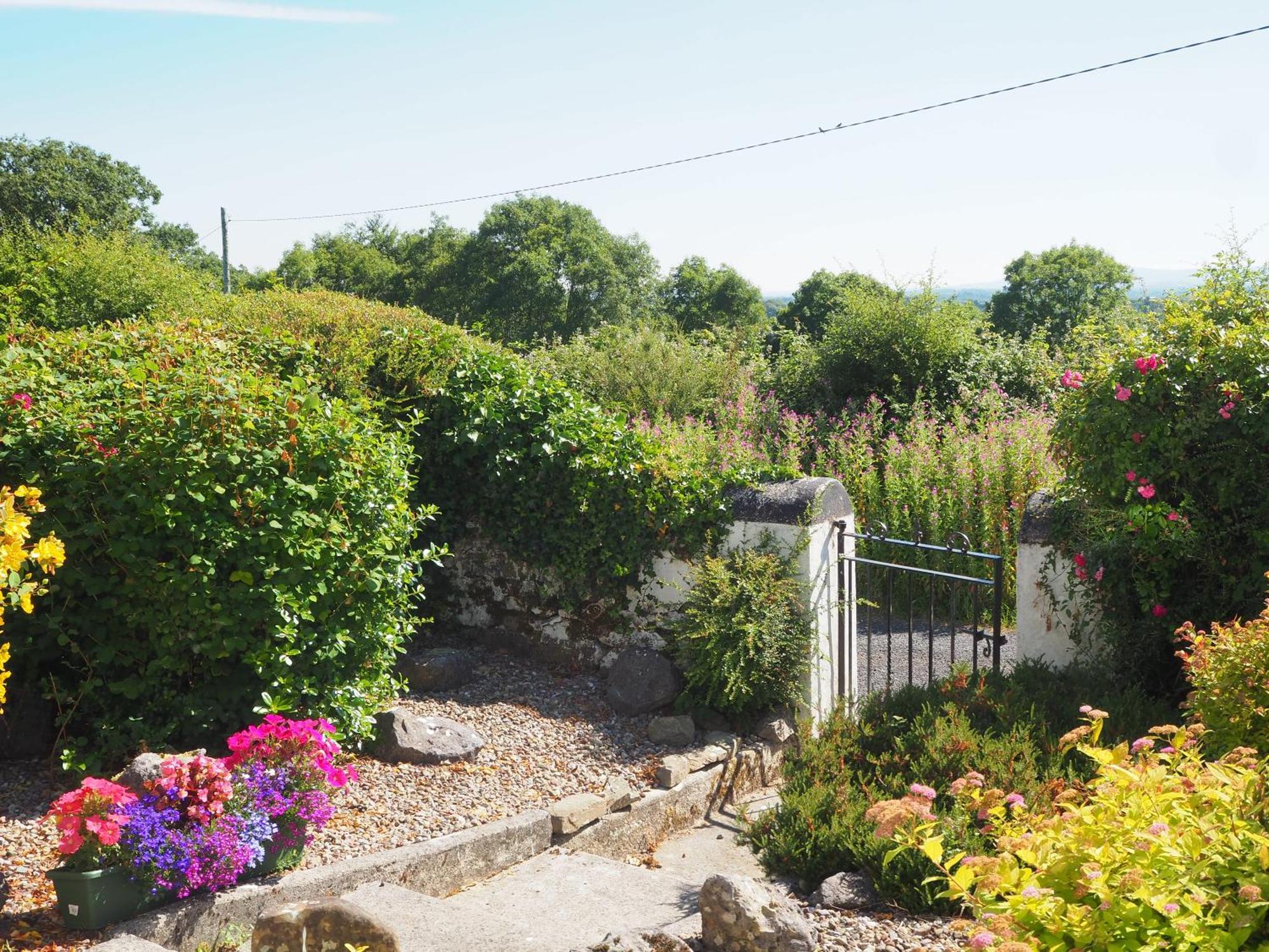The Cottage @ Burkedale House Corofin  Esterno foto