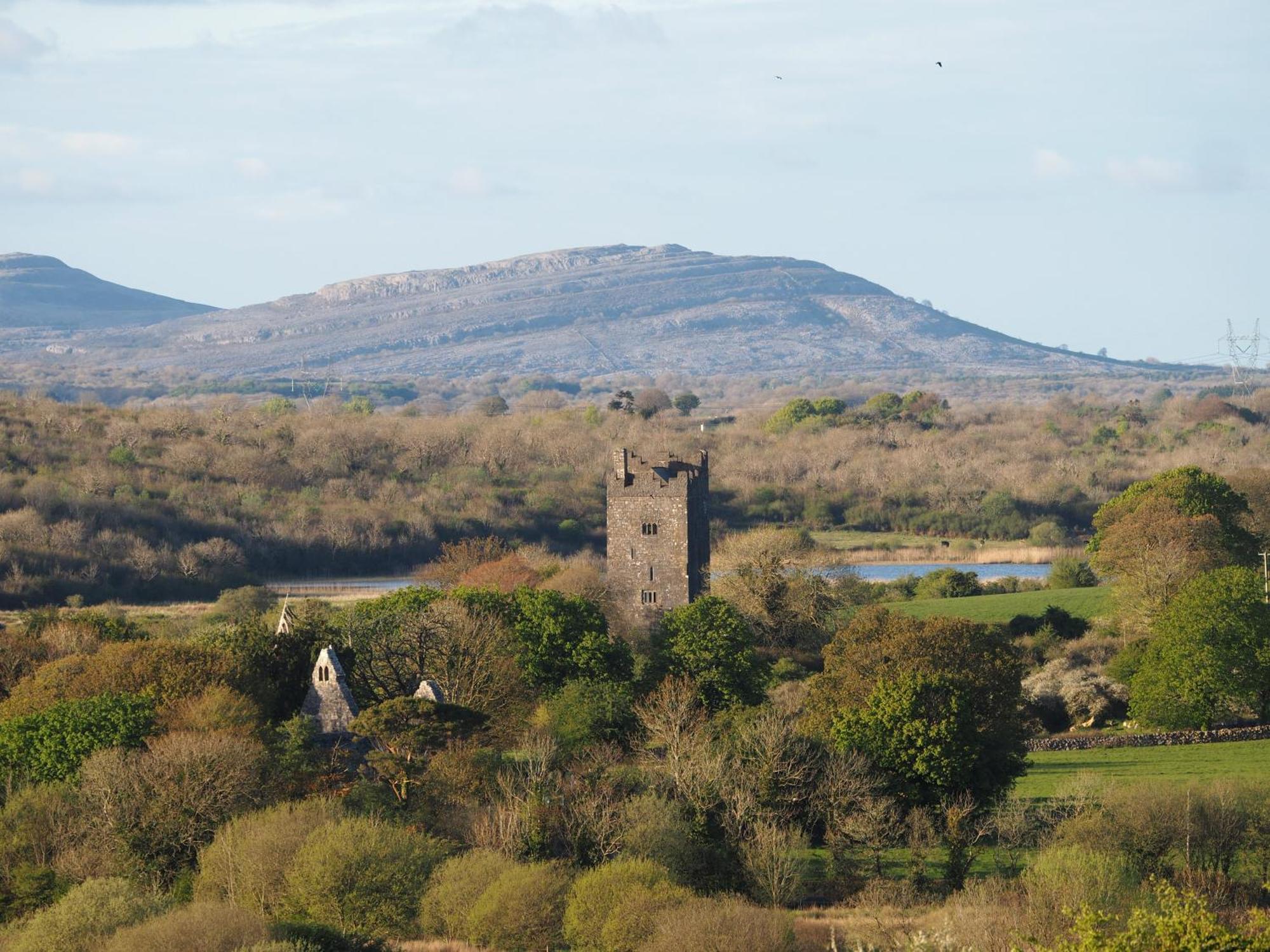 The Cottage @ Burkedale House Corofin  Esterno foto