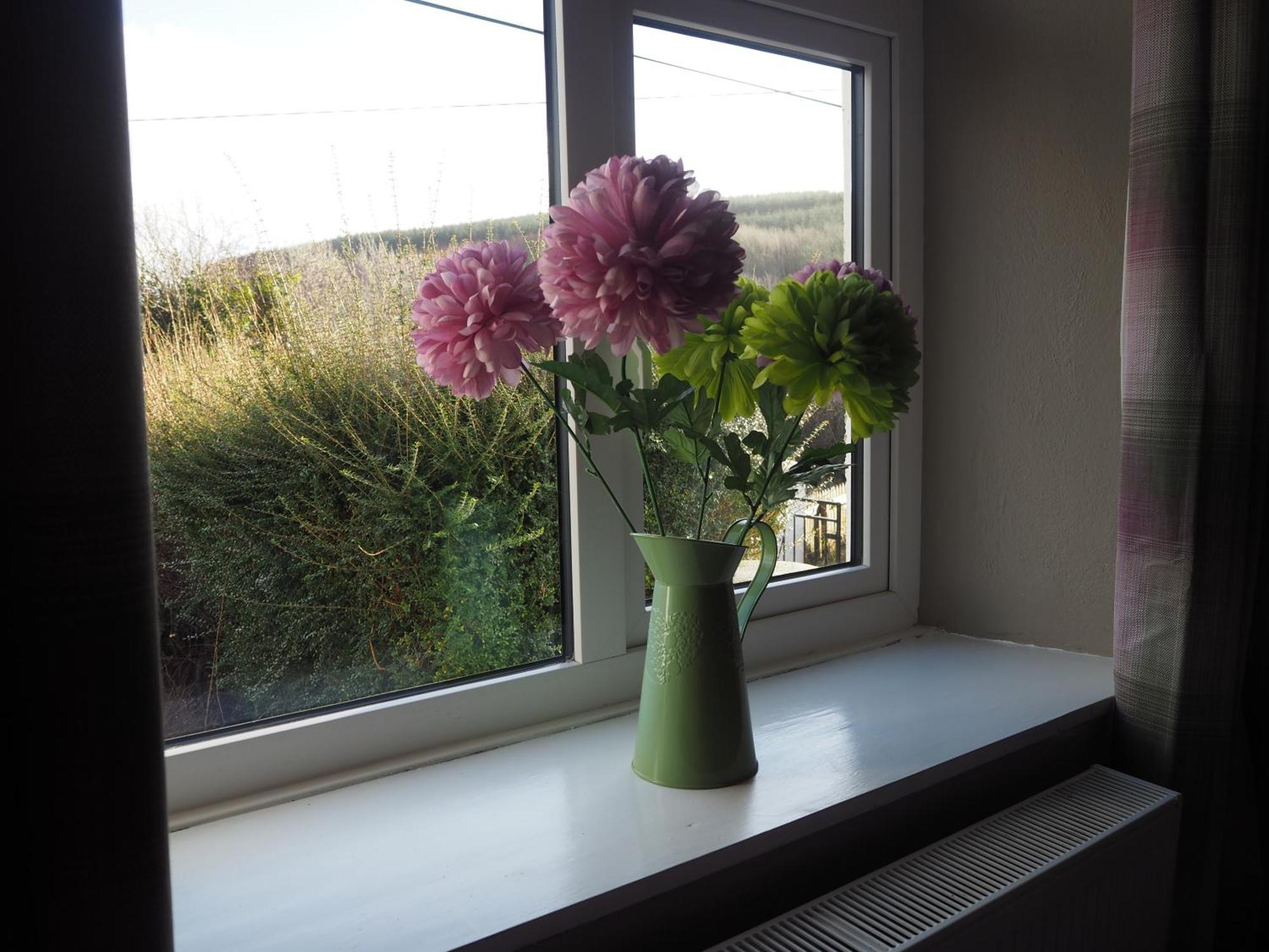 The Cottage @ Burkedale House Corofin  Esterno foto